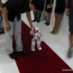 Holding hands on the red carpet
